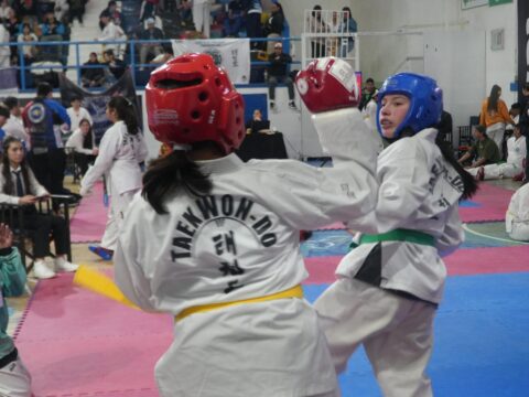 29ª edición de la Copa Mes de la Niñez de Taekwondo ITF en el Complejo Municipal