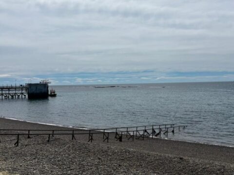 Nueva edición del “El Cruce” travesía de aguas abiertas